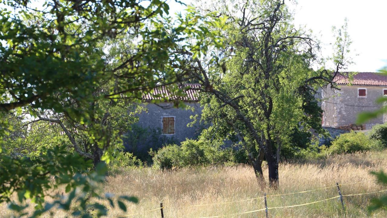 Villa Casa Conte Istria à Kanfanar Extérieur photo