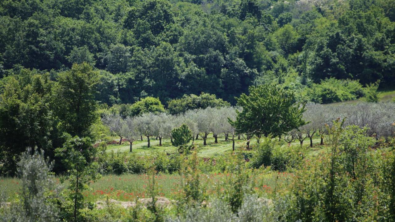 Villa Casa Conte Istria à Kanfanar Extérieur photo